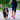 Running With Your Dog - dog and human running