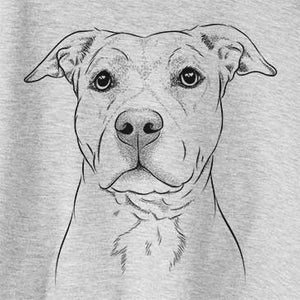 Bailey the American Staffordshire Terrier
