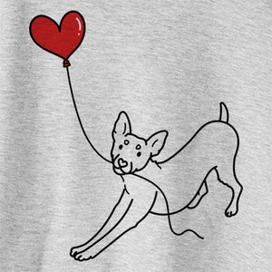 Rat Terrier - Heart String