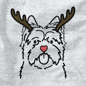 Red Nose Cairn Terrier