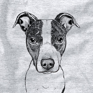 Roxy the Bo-Jack (Boston Terrier Jack Russell Terrier Mix)