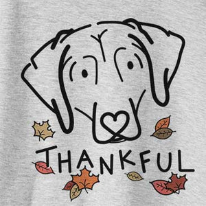 Thankful Aly the Beagle