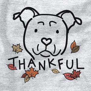 Thankful American Staffordshire Terrier