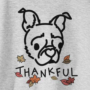 Thankful Bella the Pug Boston Terrier Mix