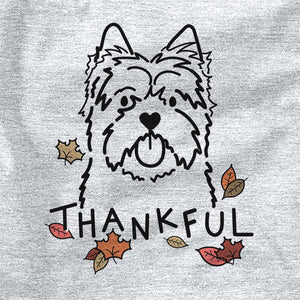 Thankful Cairn Terrier