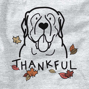 Thankful English Mastiff