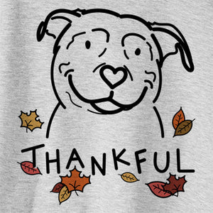 Thankful Lady the American Pitbull Terrier