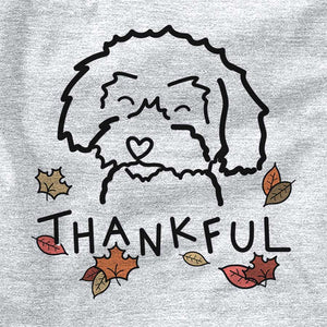 Thankful Schnoodle