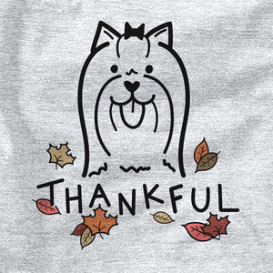 Thankful Yorkshire Terrier