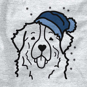 Frosty Bernese Mountain Dog