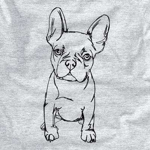 Doodled Franco the French Bulldog Puppy