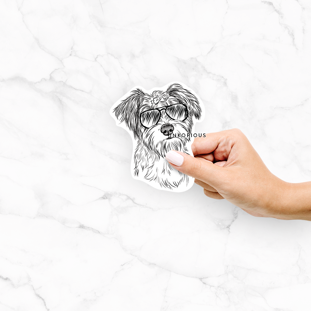 'Birdee the Schnauzer Mix' design on a decal sticker
