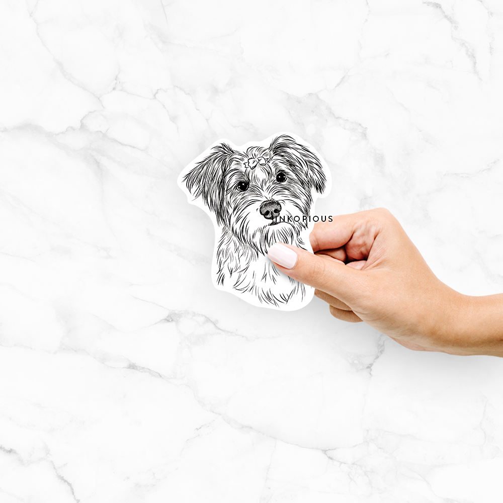 'Birdee the Schnauzer Mix' design on a decal sticker