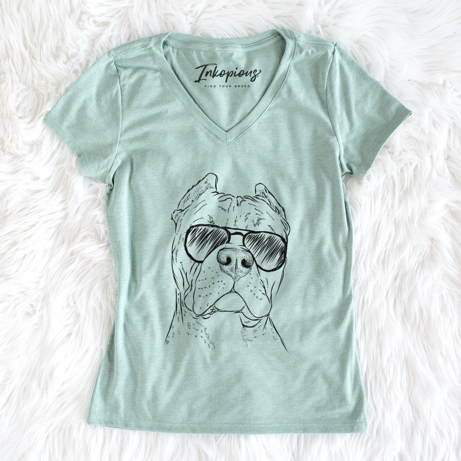Aviator Bam Bam the Pitbull - Women's V-neck Shirt