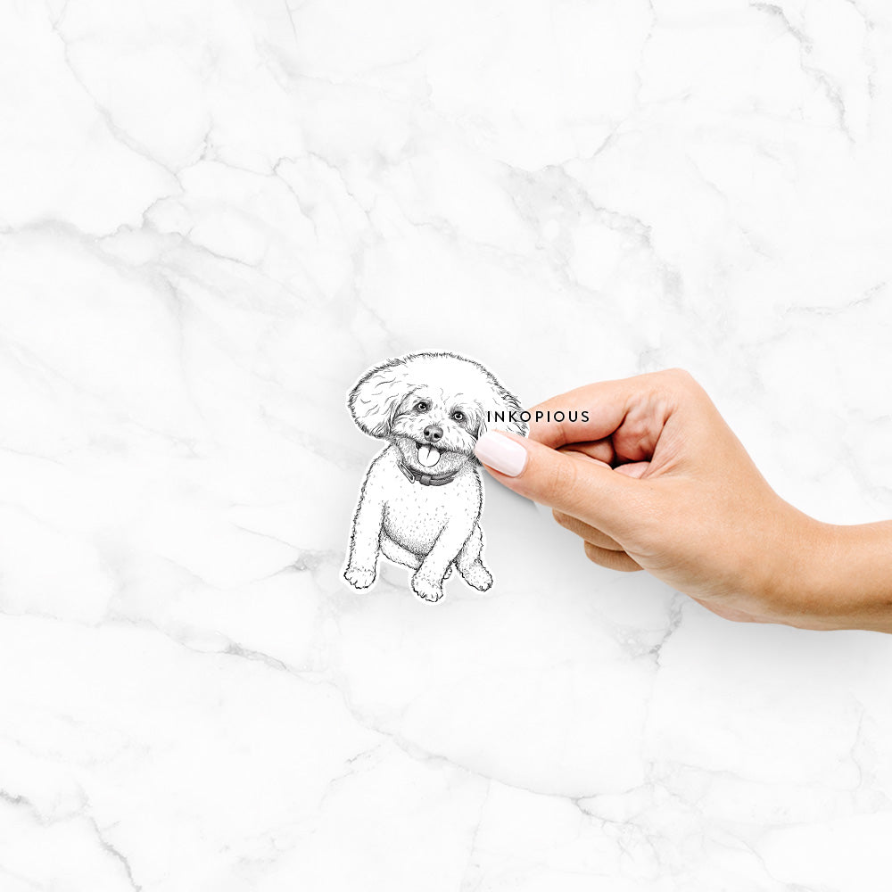 Hand-drawn sketch of Peyton the Bichon Frise on a Peyton Bichon decal sticker