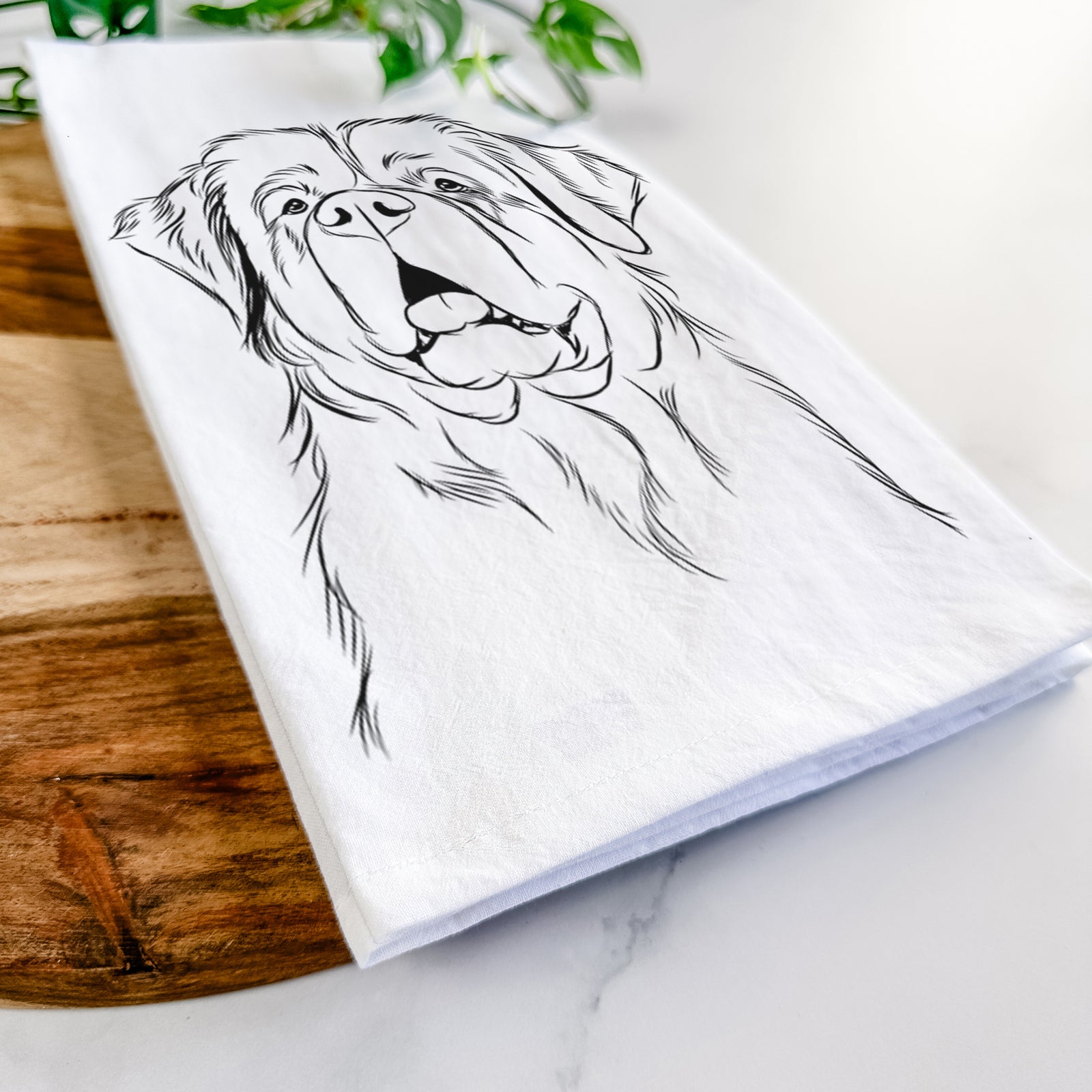 Hand-drawn sketch of Atlas the Saint Bernard on a tea towel