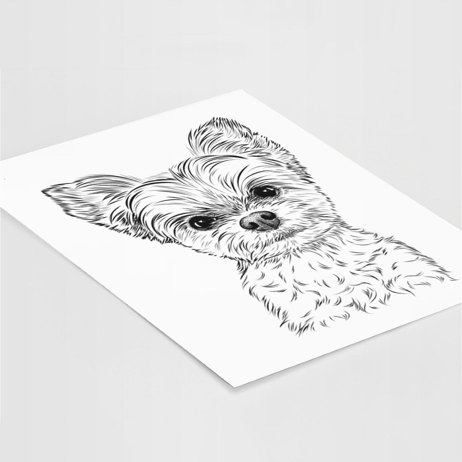 Chance the Yapper the Yorkshire Terrier Art Print