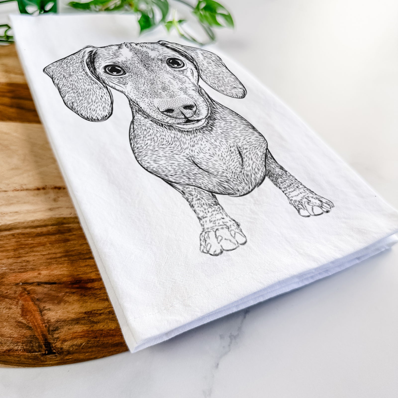 Hand-drawn sketch of Ernie the Mini Dachshund on a tea towel