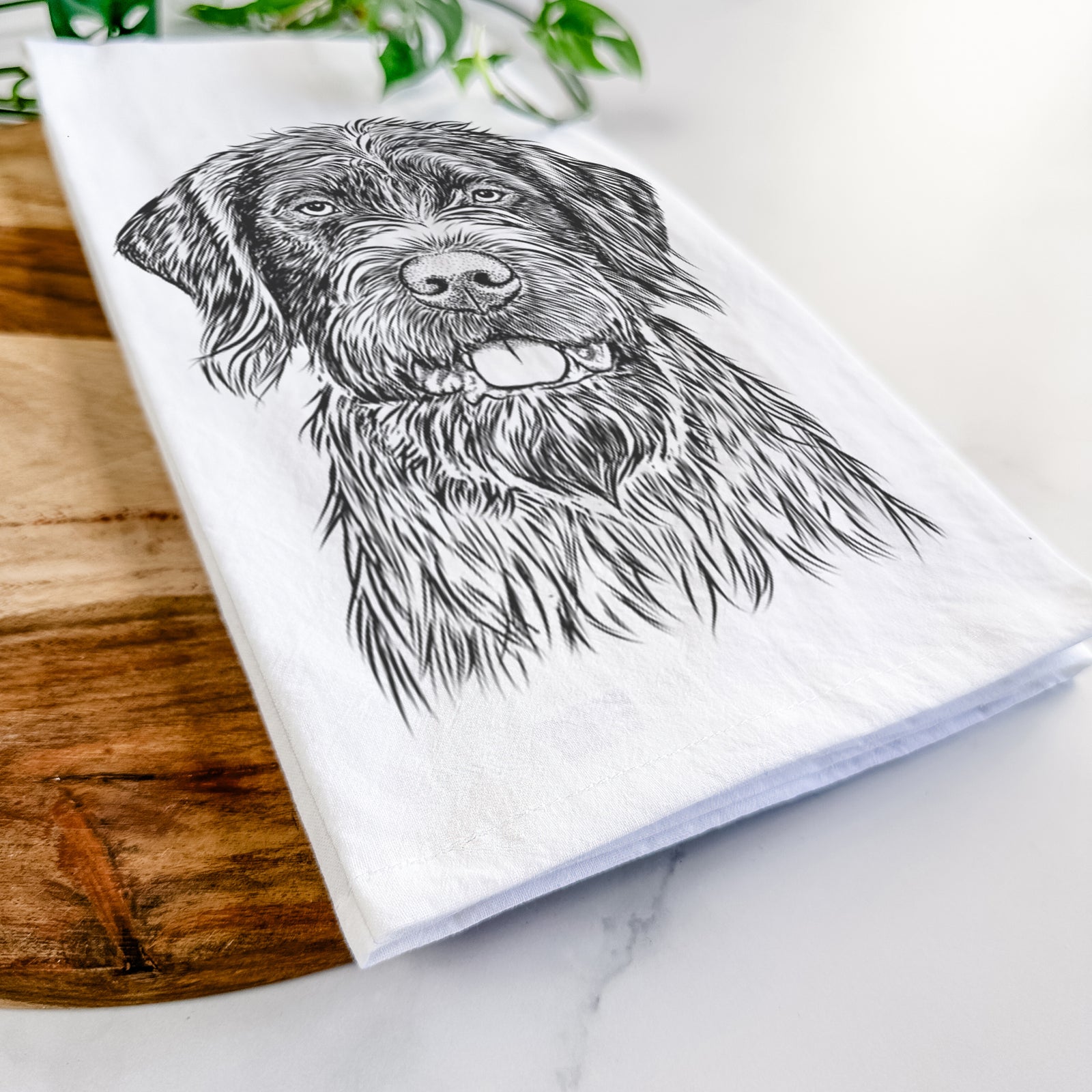 Hand-drawn sketch of Fletcher the Wirehaired Pointing Griffon on a tea towel