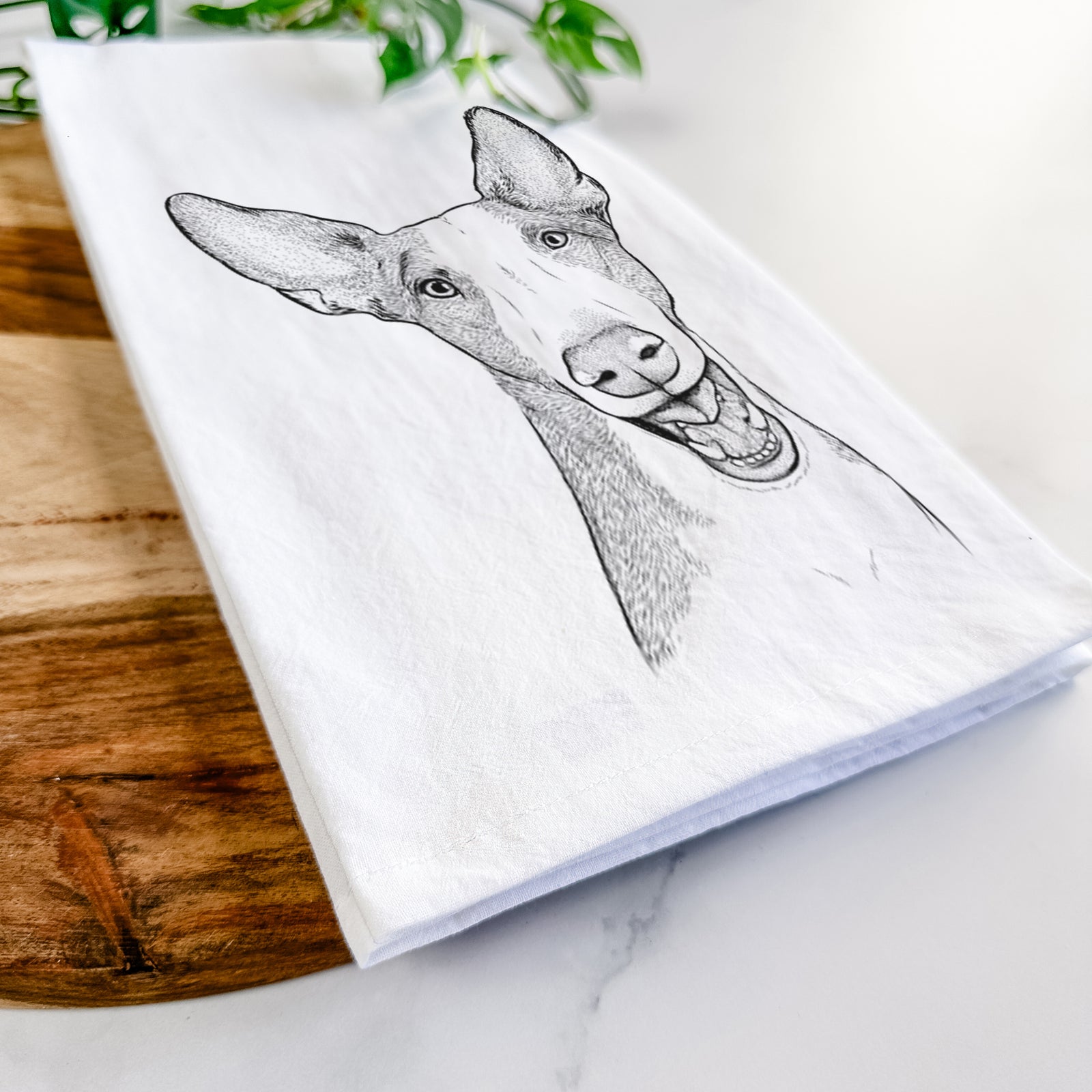 Hand-drawn sketch of Havok the Ibizan Hound on a tea towel