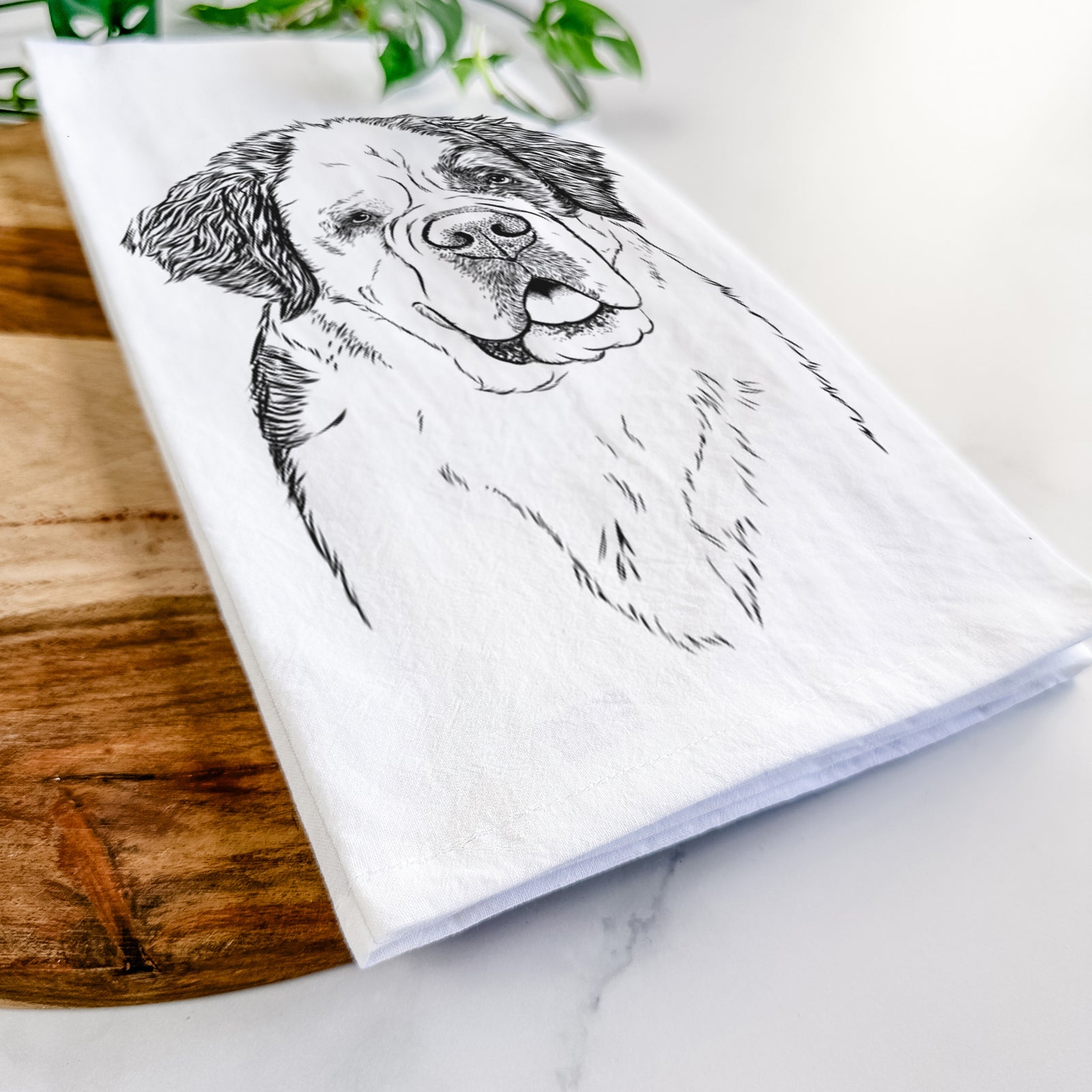 Hand-drawn sketch of Hook the Saint Bernard on a tea towel