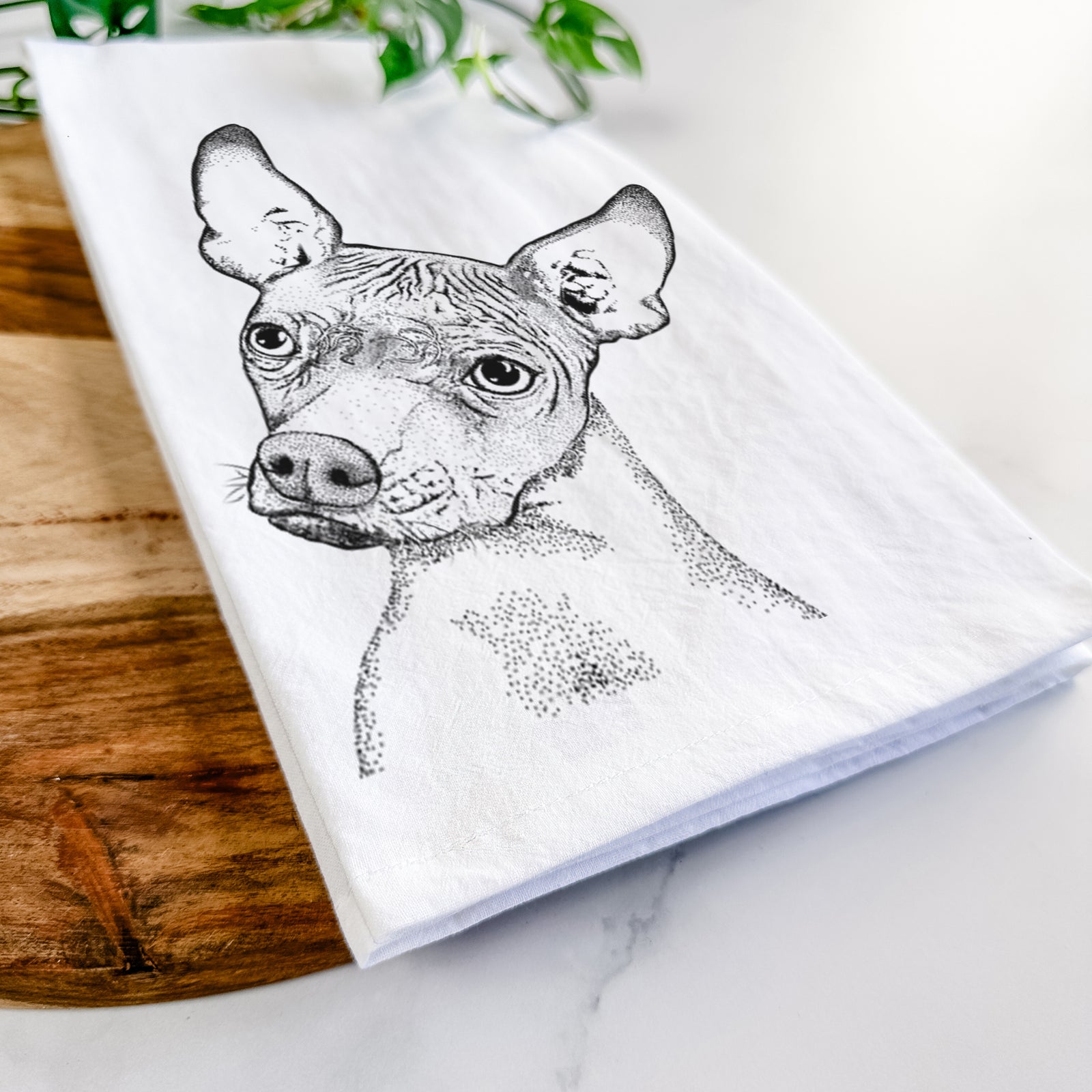 Hand-drawn sketch of Kahlo the Xoloitzcuintli on a tea towel