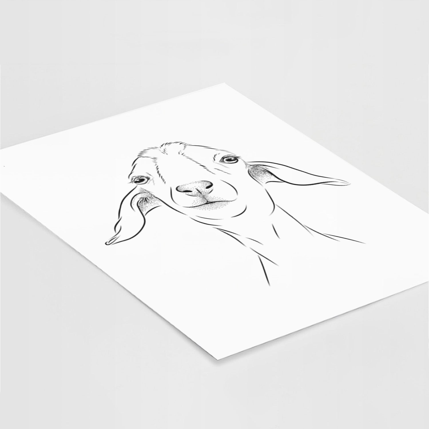 Kara Dune the Spanish Boer Goat Art Print