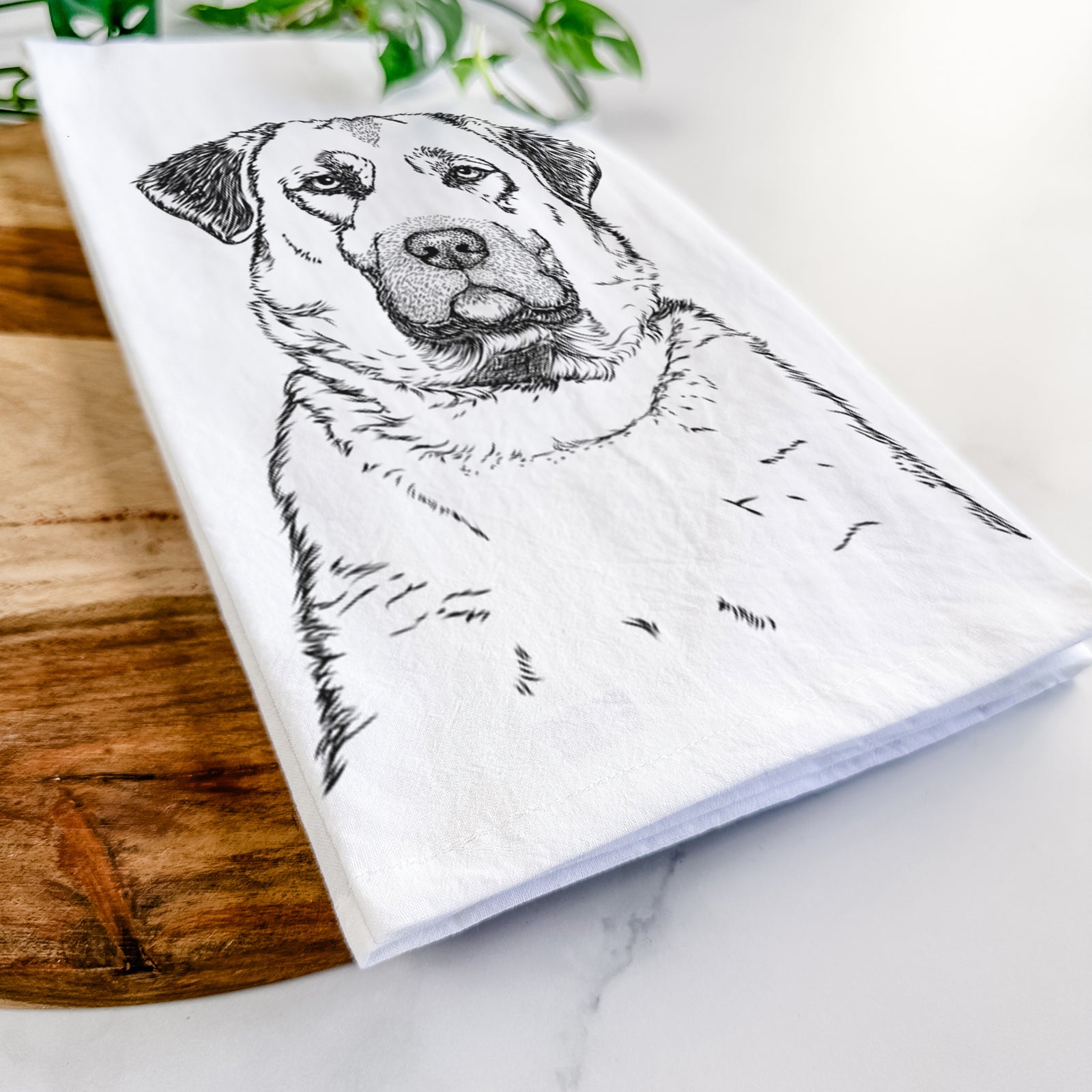 Hand-drawn sketch of Loca the Anatolian Shepherd on a tea towel