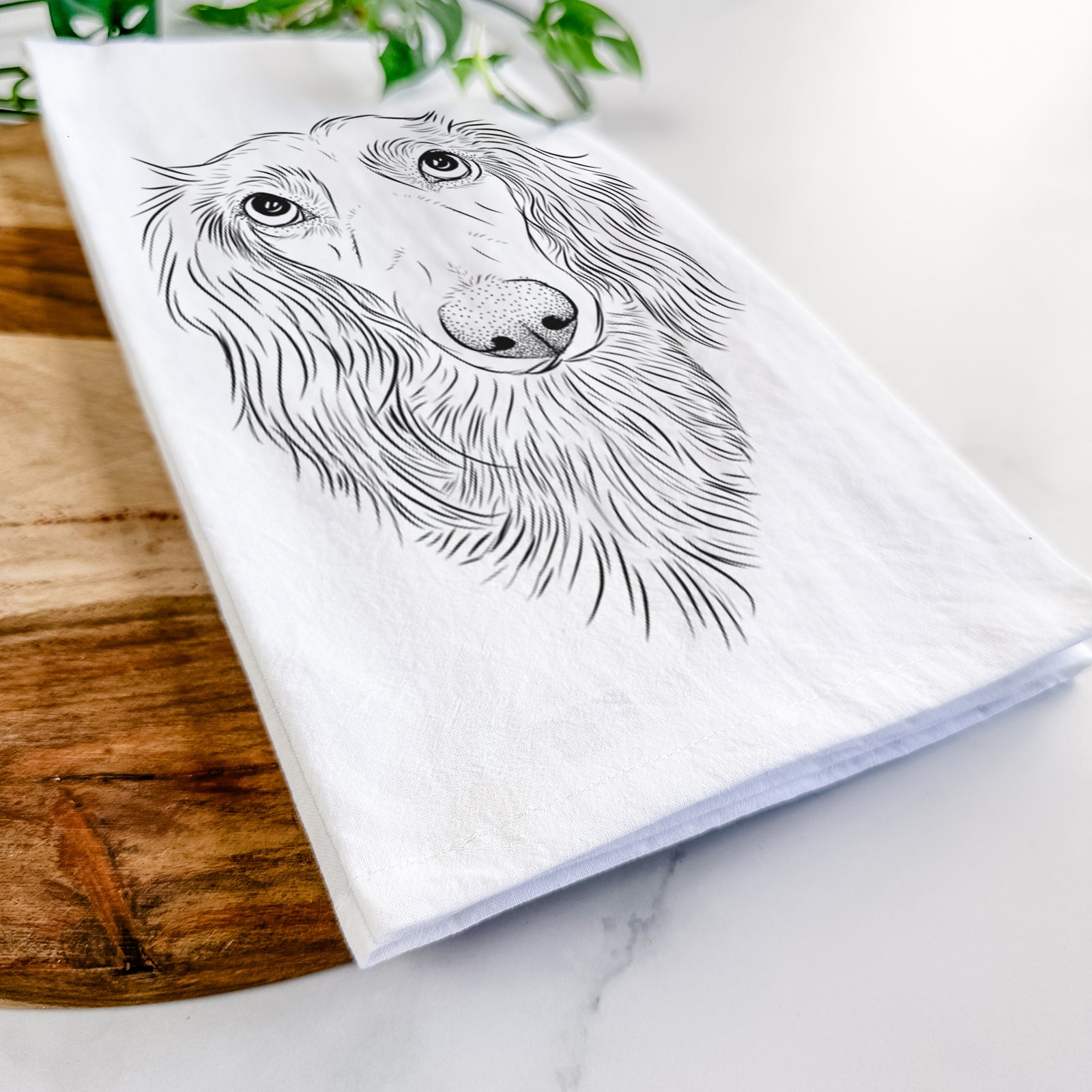 Hand-drawn sketch of Mr. Rusty the Long Haired Dachshund on a tea towel