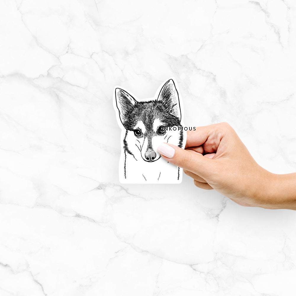 Hand-drawn sketch of Nami the Alaskan Klee Kai on a decal sticker