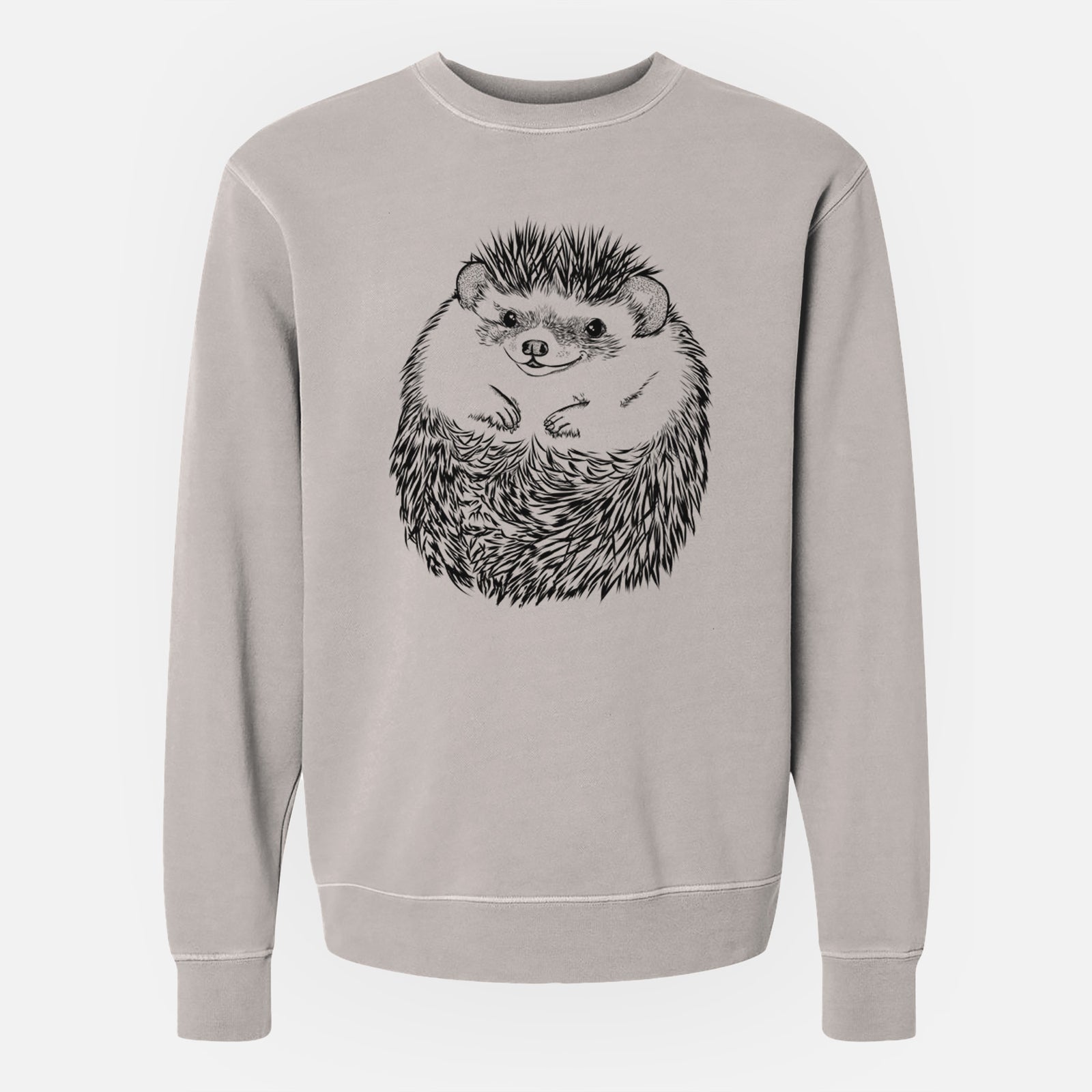 Hand-drawn sketch of Sid the Hedgehog on a Cement Unisex pigment dyed crew sweatshirt