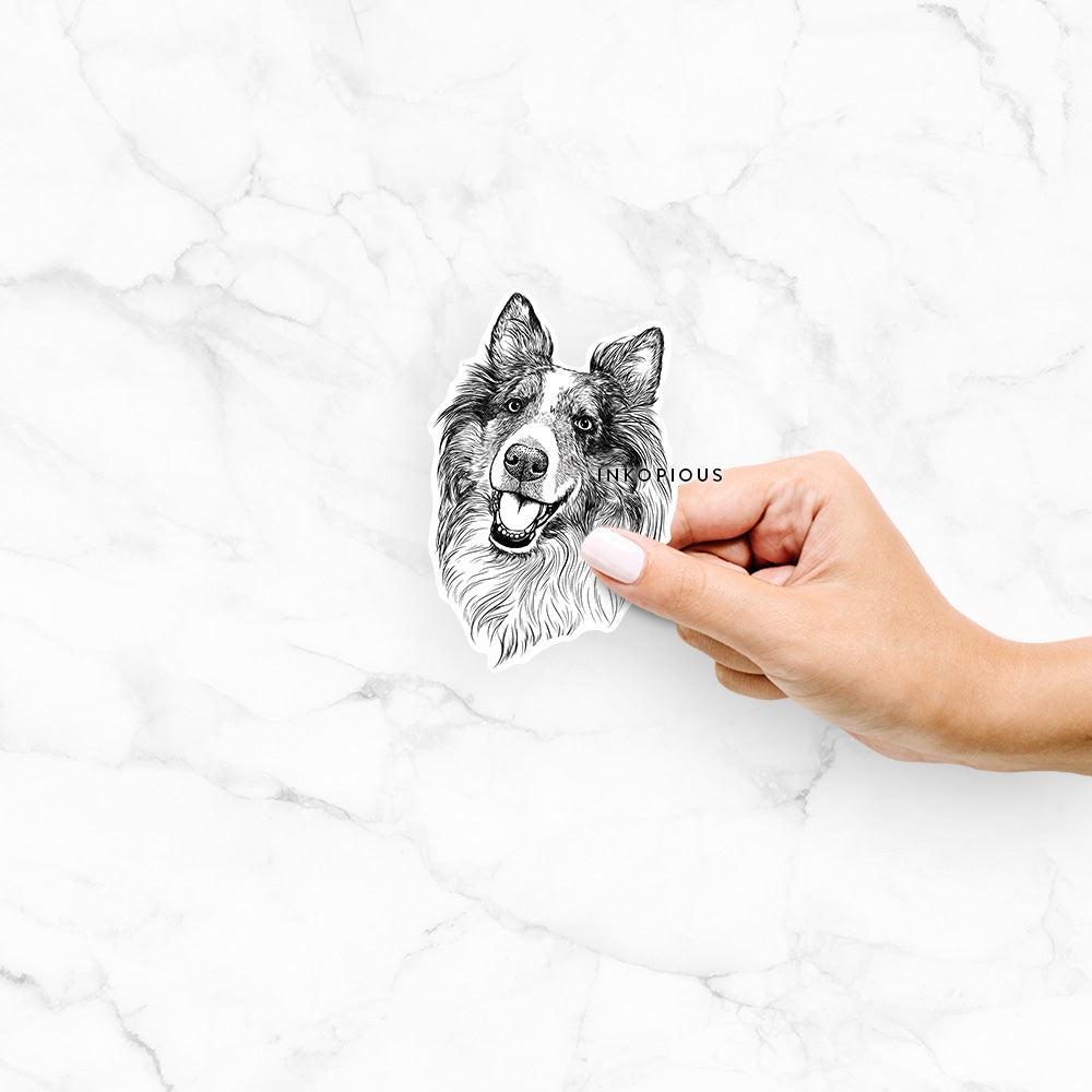 Hand-drawn sketch of Skylar the Shetland Sheepdog on a decal sticker