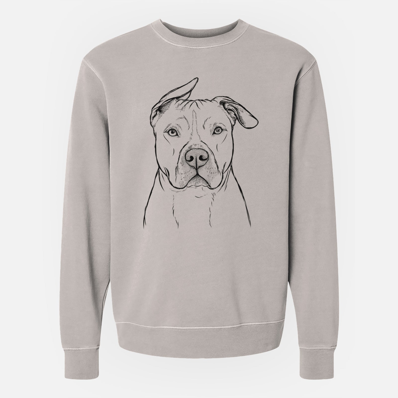 Hand-drawn sketch of Teddy Jam the Pitbull on a Cement Unisex pigment dyed crew sweatshirt