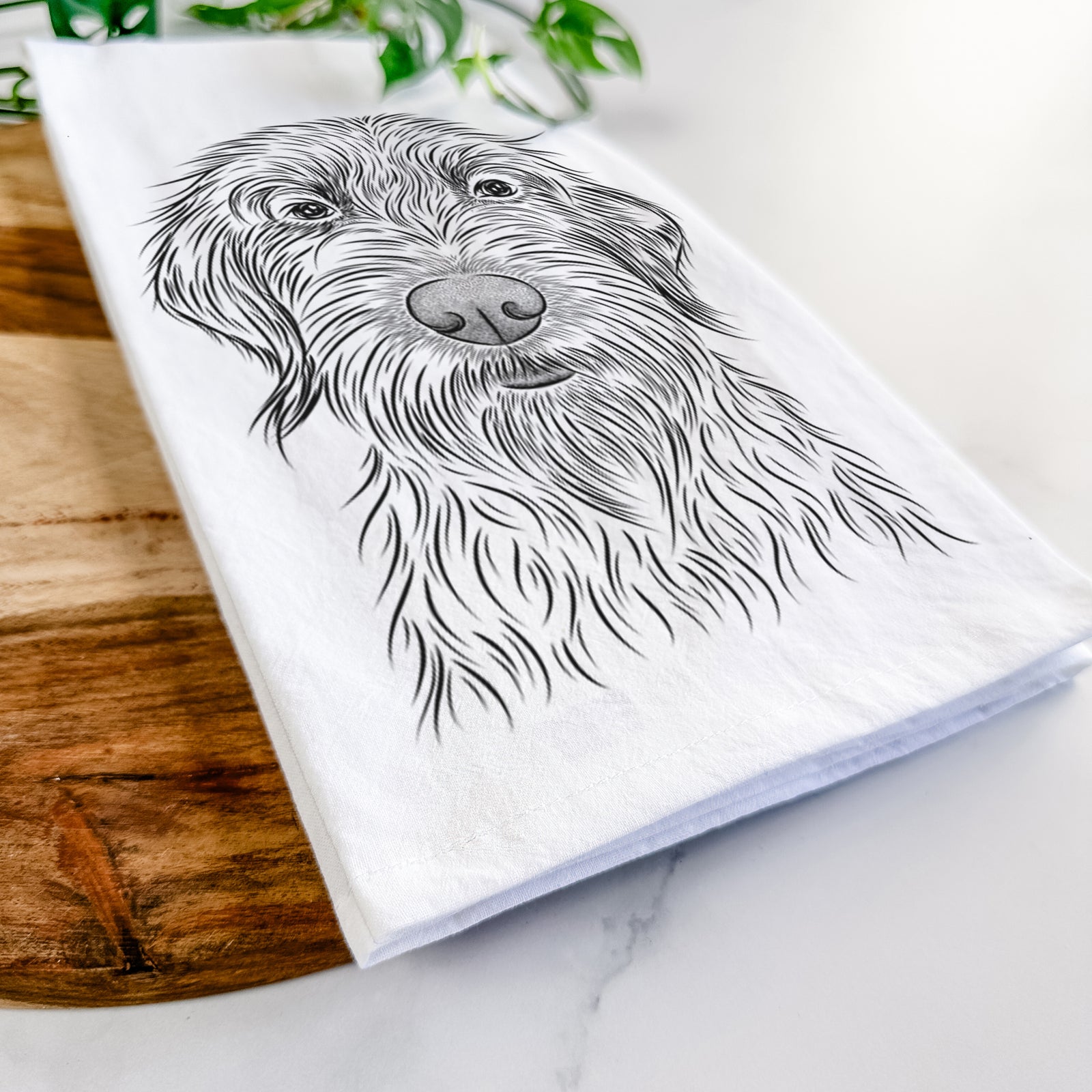 Hand-drawn sketch of Wilkins the Wirehaired Pointing Griffon on a tea towel