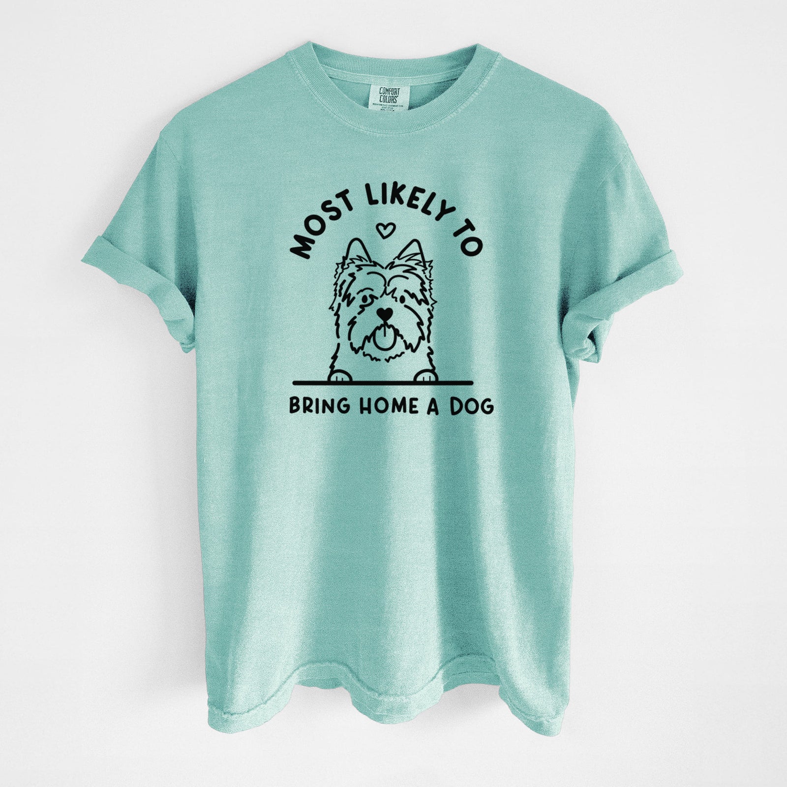 Most Likely to Bring Home a Dog - Cairn Terrier - Unisex Comfort Colors Garment-Dyed Heavyweight T-shirt in Chalky Mint