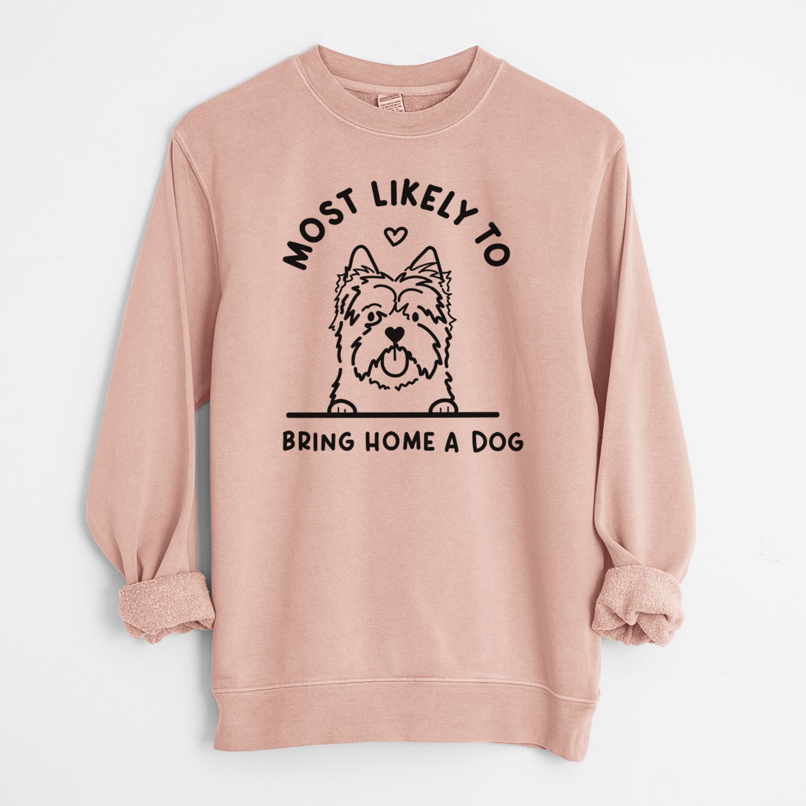 'Most Likely to Bring Home a Dog - Cairn Terrier' design on a Dusty Pink Unisex pigment dyed crew sweatshirt