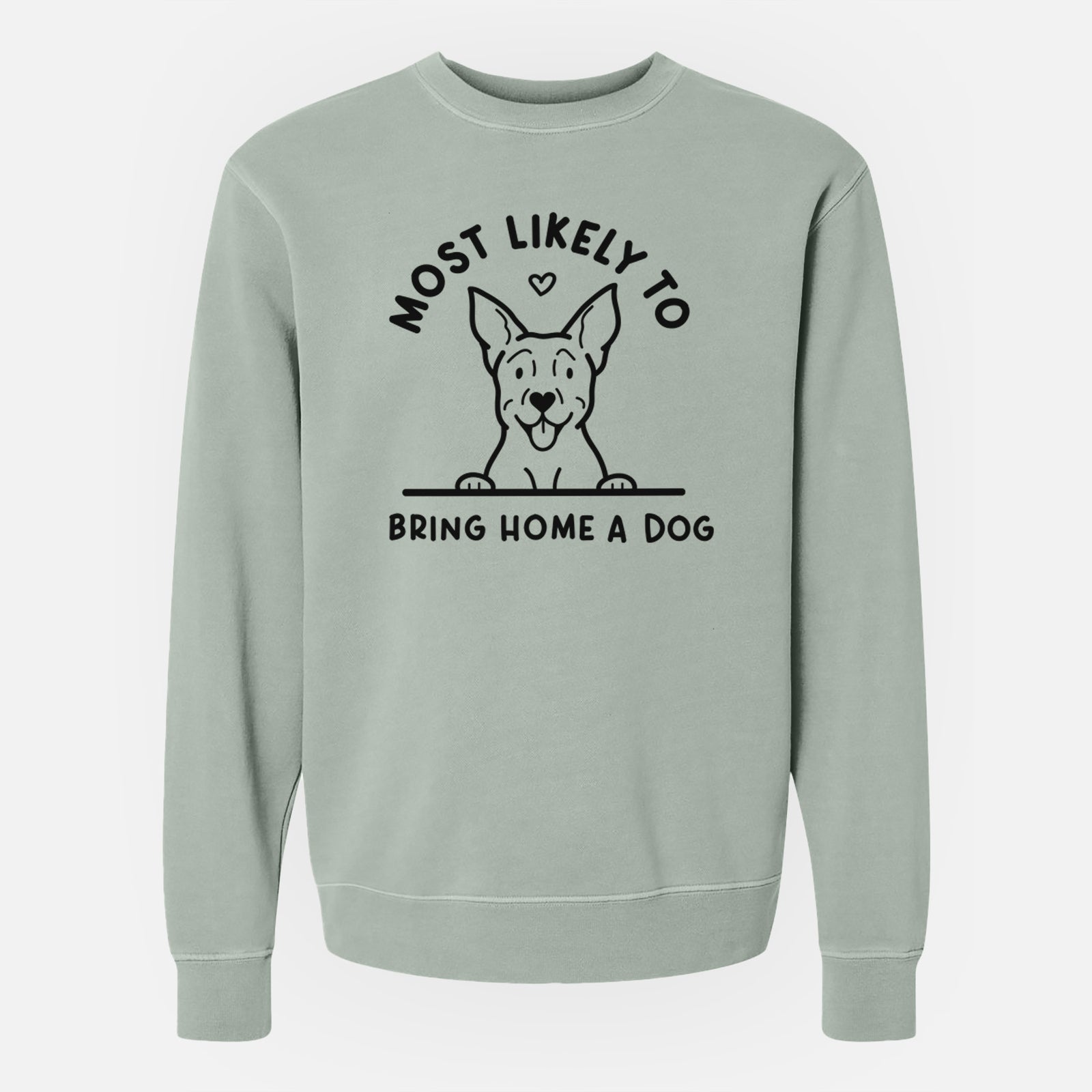 'Most Likely to Bring Home a Dog - Carolina Dog' design on a Sage Unisex pigment dyed crew sweatshirt