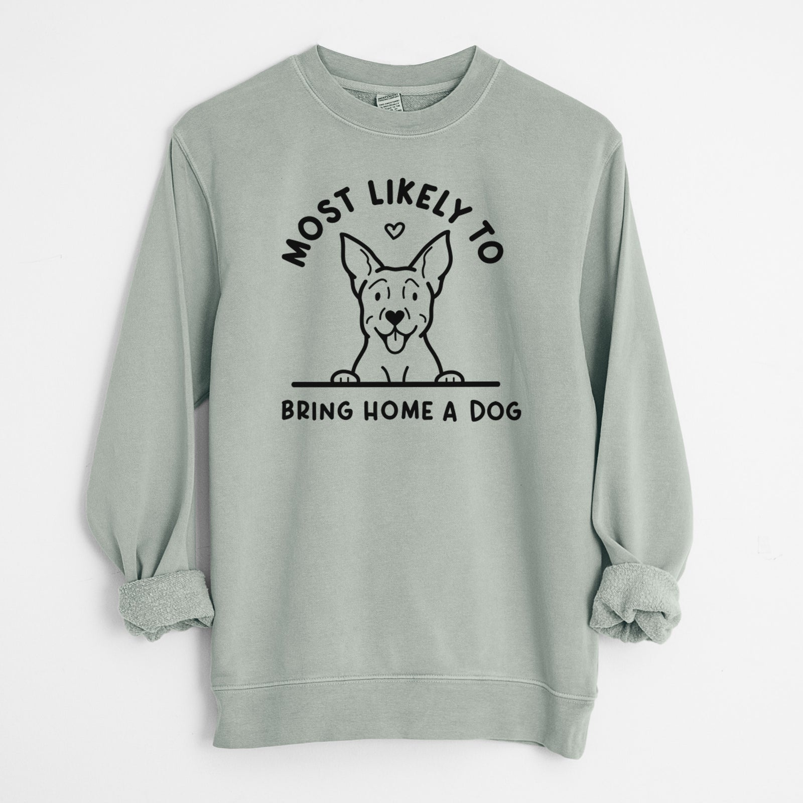 'Most Likely to Bring Home a Dog - Carolina Dog' design on a Sage Unisex pigment dyed crew sweatshirt