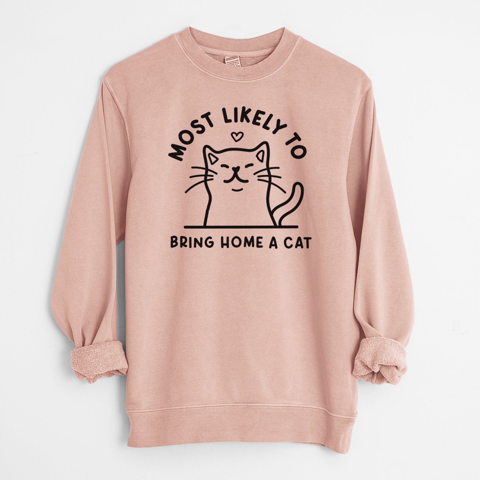 'Most Likely to Bring Home a Cat' design on a Dusty Pink Unisex pigment dyed crew sweatshirt