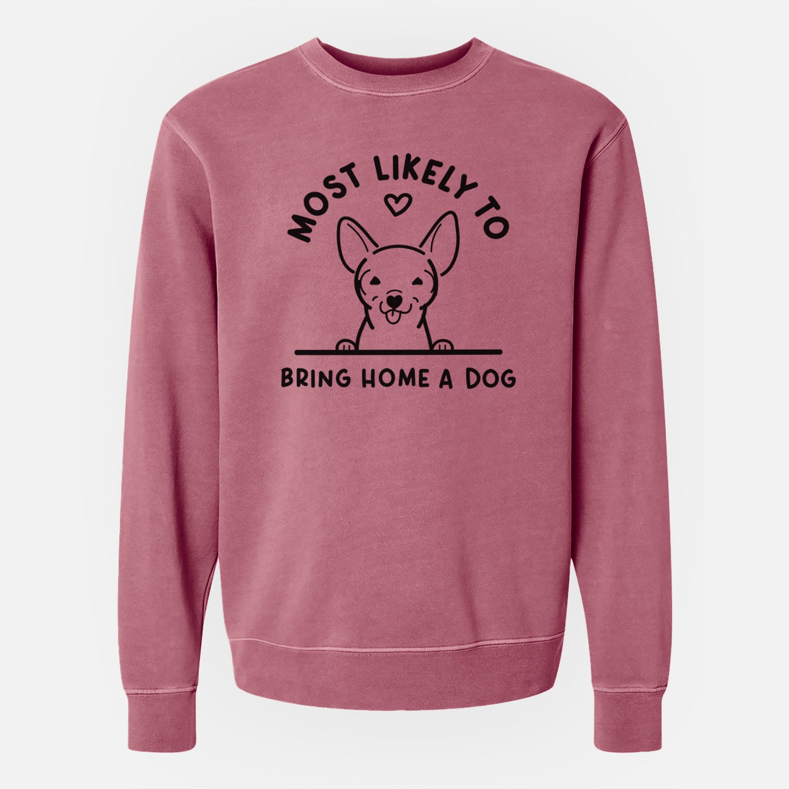 'Most Likely to Bring Home a Dog - Chihuahua' design on a Maroon Unisex pigment dyed crew sweatshirt