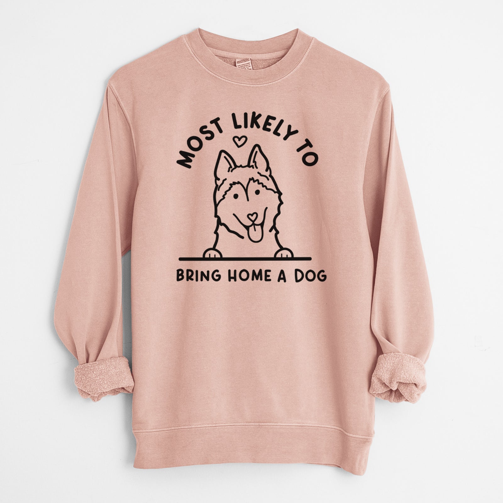 'Most Likely to Bring Home a Dog - Siberian Husky' design on a Dusty Pink Unisex pigment dyed crew sweatshirt