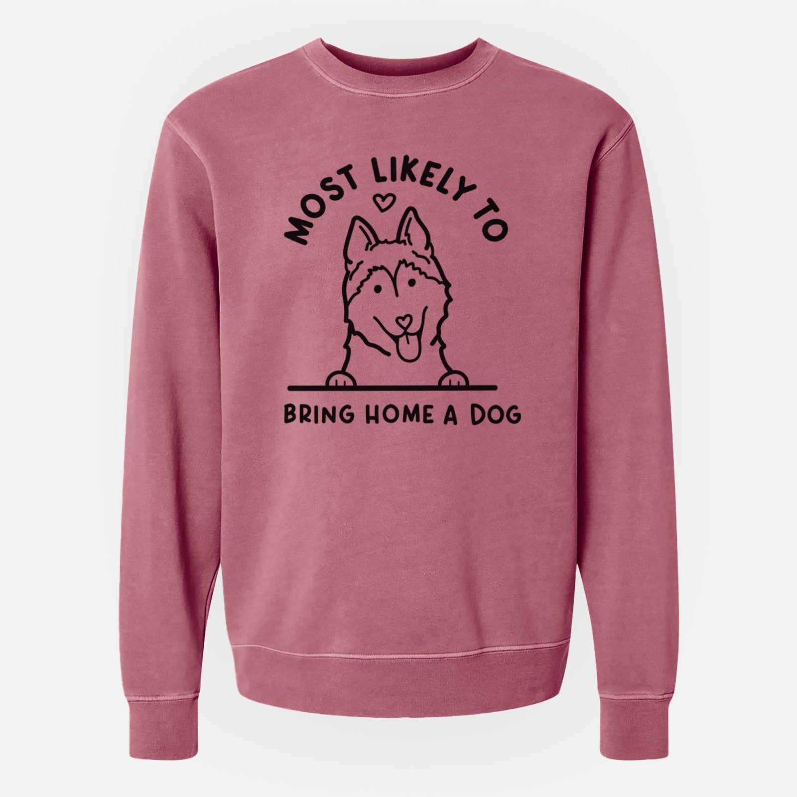 'Most Likely to Bring Home a Dog - Siberian Husky' design on a Maroon Unisex pigment dyed crew sweatshirt