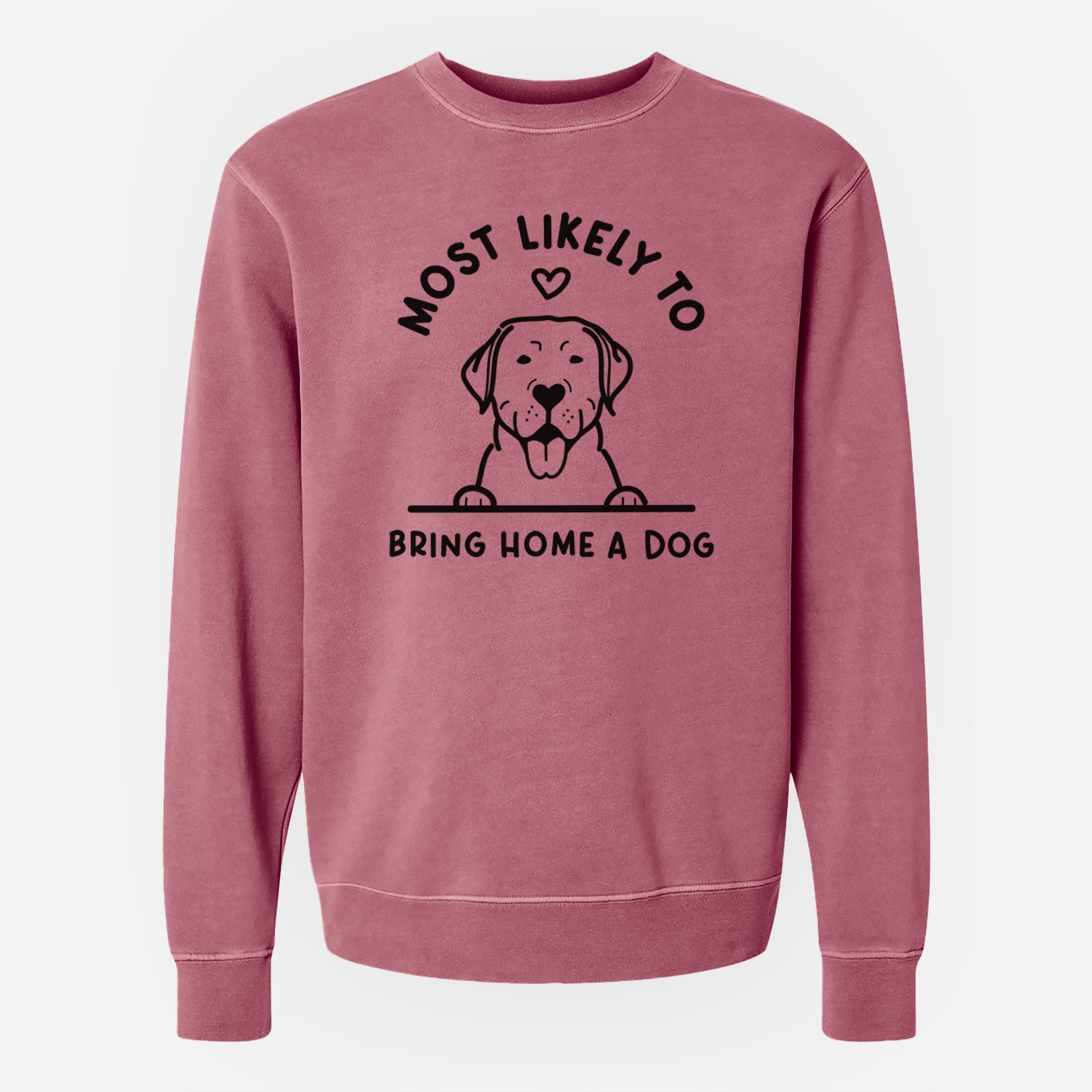 'Most Likely to Bring Home a Dog - Labrador Retriever' design on a Maroon Unisex pigment dyed crew sweatshirt