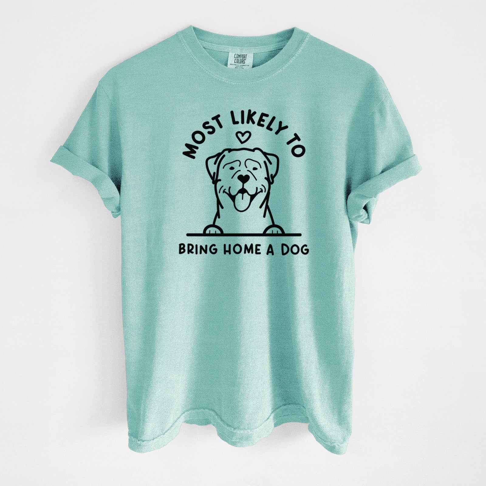 Most Likely to Bring Home a Dog - Rottweiler - Unisex Comfort Colors Garment-Dyed Heavyweight T-shirt in Chalky Mint