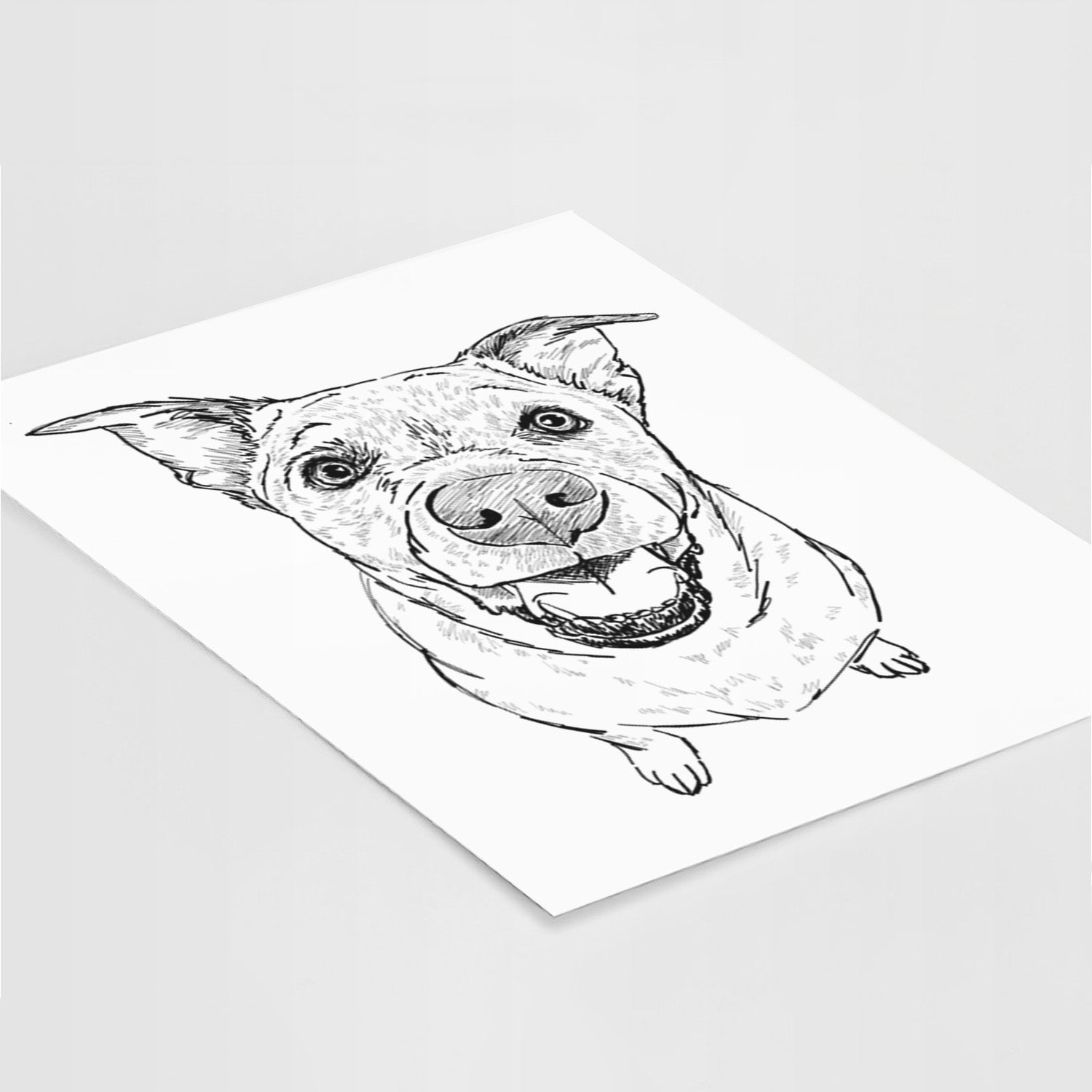Doodled Boulder the Boxer/Heeler/Corgi Art Print