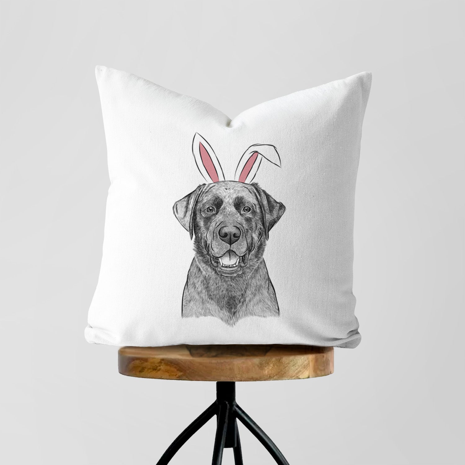Heath the Black Lab - Throw Pillow Cover