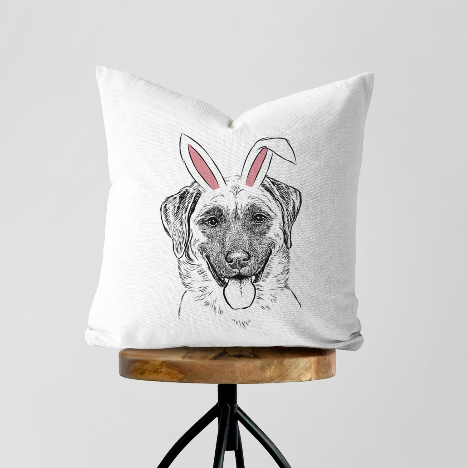 Willow the Anatolian Shepherd - Throw Pillow Cover