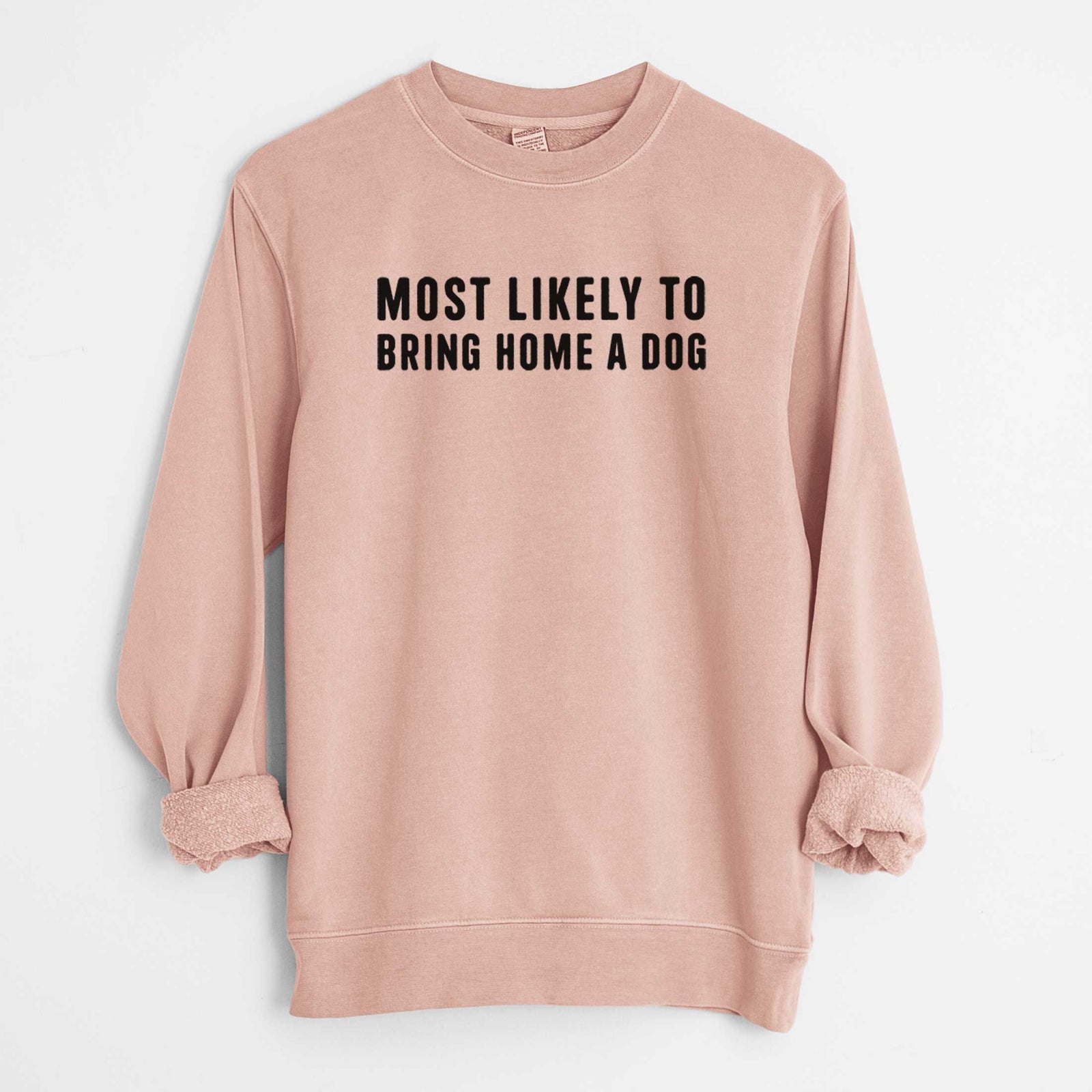 'Most Likely To Bring Home a Dog Text Only' design on a Dusty Pink Unisex pigment dyed crew sweatshirt
