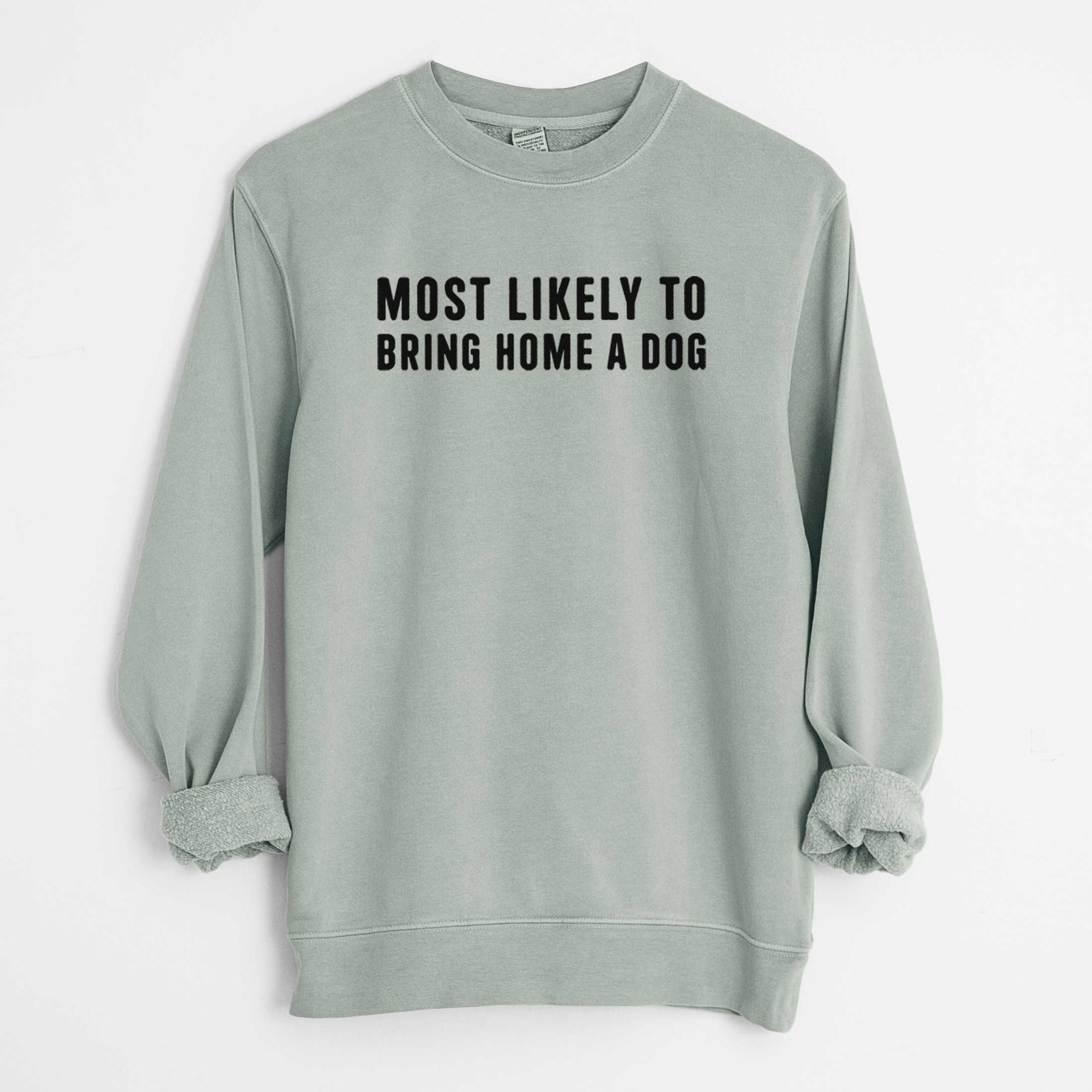'Most Likely To Bring Home a Dog Text Only' design on a Sage Unisex pigment dyed crew sweatshirt