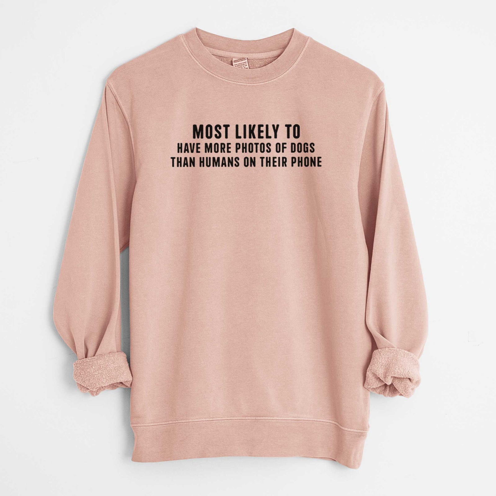 'Most Likely to Have More Photos of Dogs than Humans on their Phone' design on a Dusty Pink Unisex pigment dyed crew sweatshirt